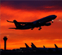 Airport Transfers